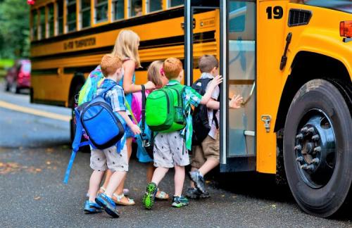Перевозка детей автобусом: основные требования и правила