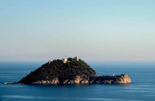 Син Богуслаєва купив в Італії острів за 10 млн євро, – ЗМІ
