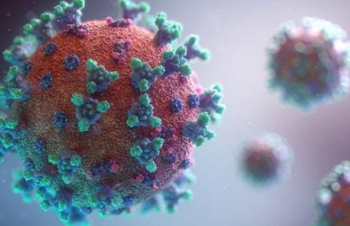 В Украине обнаружили пять мутаций коронавируса - «британской» среди них нет