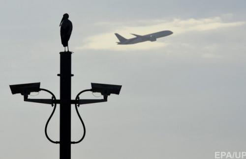 Автономные беспилотники будут отгонять стаи птиц от аэропортов