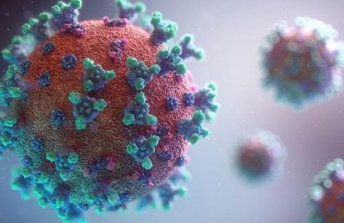 Ученые США обнаружили гены человека, которые борются с коронавирусом