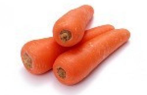 Морковь - овощ долголетия