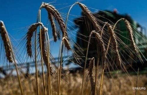 Украина нарастила аграрный экспорт в ЕС на треть