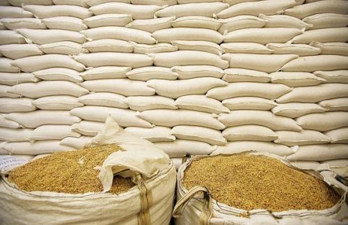 Украина не будет ограничивать экспорт пшеницы