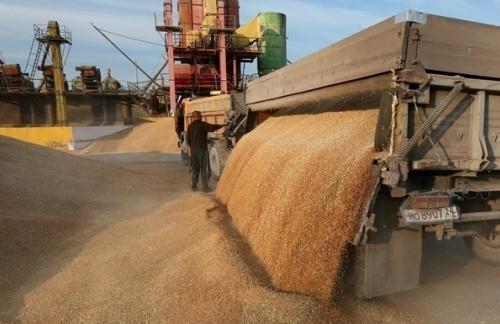 Украина намолотила более 41 млн тонн зерновых