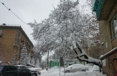 Водителей Киева призвали не оставлять авто на обочинах из-за масштабной уборки и вывоза снега