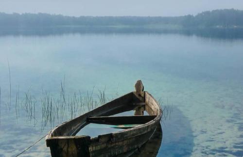 Шацкие озера: оздоровительный отпуск на самом большом озере Украины и прогулки по хвойным лесам