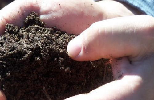 Биопрепараты для семян и почвы