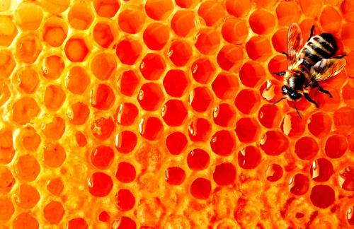 10 причин употреблять мед чаще